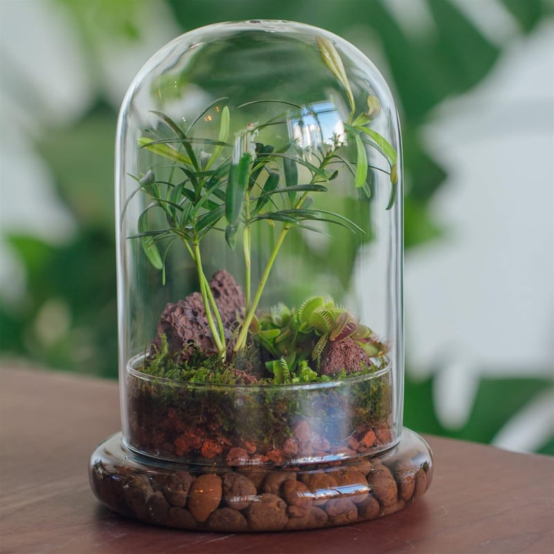 NCYP Üvegharang Dekoratív Búra 15x21cm Virághoz Terrárium Tárolóedény