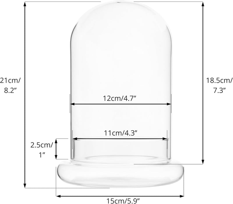 NCYP Üvegharang Dekoratív Búra 15x21cm Virághoz Terrárium Tárolóedény