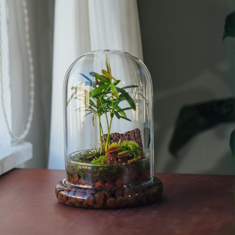 NCYP Üvegharang Dekoratív Búra 15x21cm Virághoz Terrárium Tárolóedény