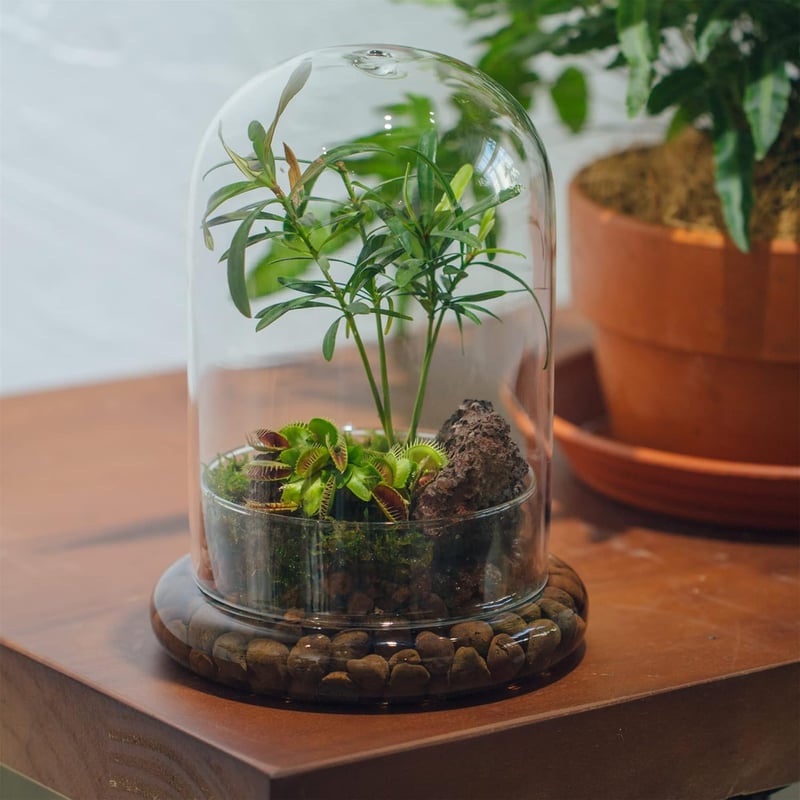 NCYP Üvegharang Dekoratív Búra 15x21cm Virághoz Terrárium Tárolóedény