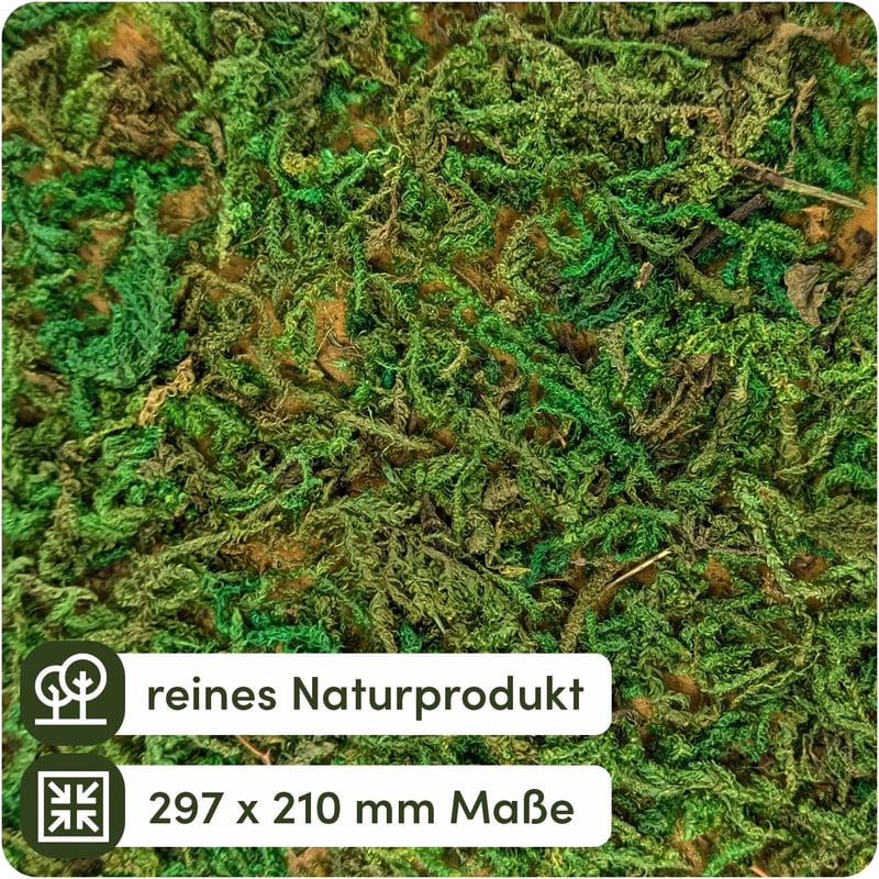 Netuno Moha Lap Zöld A4 297x210mm Természetes Moha Textil Alapon Dekoráció Kézművesség Húsvét Karácsony Virágkötészet