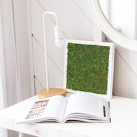 Netuno Moha Lap Zöld A4 297x210mm Természetes Moha Textil Alapon Dekoráció Kézművesség Húsvét Karácsony Virágkötészet 5