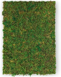Netuno Moha Lap Zöld A4 297x210mm Természetes Moha Textil Alapon Dekoráció Kézművesség Húsvét Karácsony Virágkötészet 1