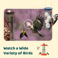 NETVUE Birdfy Intelligens Madárkamera Napelem és Állítható Állvánnyal 6