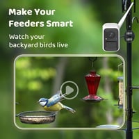 NETVUE Birdfy Intelligens Madárkamera Napelem és Állítható Állvánnyal 2