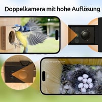 NETVUE Madárház Duál Kamerás 1080P Bambusz Fészekfigyelo Napelemes Valós Idejű Megfigyeléshez 3
