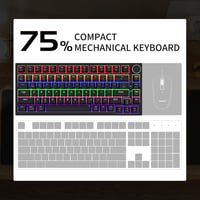 Newmen GM326 Mechanikus Gamer Billentyűzet 75% TKL USB-C LED 4