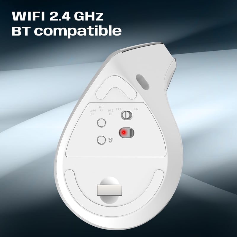 Mouse Ergonomic Wireless NEWWAY A9 - 2.4GHz WiFi, USB-C, RGB, 2400 DPI