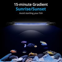 Nicrew ClassicLED G2 akvárium lámpa, vízálló LED világítás holdvilágítással 4