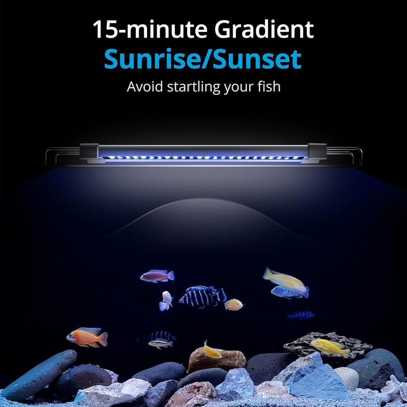 Nicrew ClassicLED G2 akvárium lámpa, vízálló LED világítás holdvilágítással
