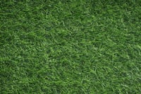 Nisorpa Műfű Szőnyeg Kültéri 2x3m 30mm Magasság Vízáteresztő 9