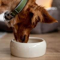 Castron ceramic Nobby pentru câini și pisici – 500 ml, culoarea crem 4