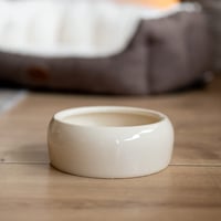Castron ceramic Nobby pentru câini și pisici – 500 ml, culoarea crem 3
