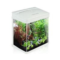 Nobleza 7-litrové nano akvárium s LED osvetlením a filtrom, biele 1