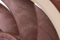 Tichý prémiový ventilátor Noctua NF-A12x25 PWM, 4-pin, 120 mm, hnedý 5