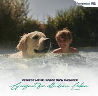 NortemBio Pool pH Plus 5kg - Medence pH emelő vízkezeléshez 7