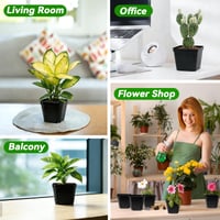 NXPZ 100 buc. Tăvițe de răsaduri din plastic, ghivece pătrate de 7 cm, cu orificii multiple de drenaj, pentru orhidee, cactuși, plante suculente, răsaduri de legume, butași și transplantare 5