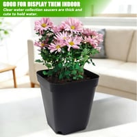 NXPZ 100 buc. Tăvițe de răsaduri din plastic, ghivece pătrate de 7 cm, cu orificii multiple de drenaj, pentru orhidee, cactuși, plante suculente, răsaduri de legume, butași și transplantare 7