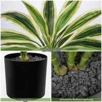 Oairse 48 cm Umjetna biljka Dracaena u crnoj posudi, umjetna tropska biljka za kupaonicu, dnevni boravak, ured, bijelo-zelena 4