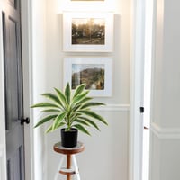 Oairse 48 cm Umjetna biljka Dracaena u crnoj posudi, umjetna tropska biljka za kupaonicu, dnevni boravak, ured, bijelo-zelena 7