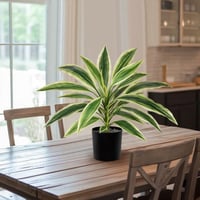 Oairse 48 cm Umjetna biljka Dracaena u crnoj posudi, umjetna tropska biljka za kupaonicu, dnevni boravak, ured, bijelo-zelena 5