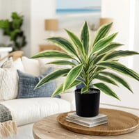 Oairse 48 cm Umjetna biljka Dracaena u crnoj posudi, umjetna tropska biljka za kupaonicu, dnevni boravak, ured, bijelo-zelena 6