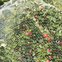 OAK Macskavédő Háló Erkélyre és Ablakra 15x15m - Sárga Biztonsági Háló Fúrás Nélkül, Erős Nejlon, Madárvédő Háló, Kerti Tóháló 7
