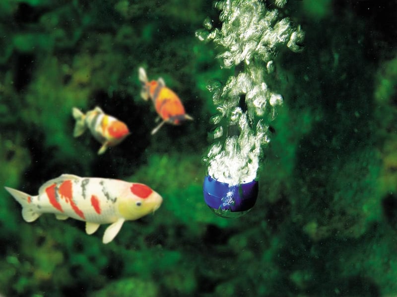 Oase Aqua Oxy 1000 légpumpa tóhoz és akváriumhoz - 1.000 l/h
