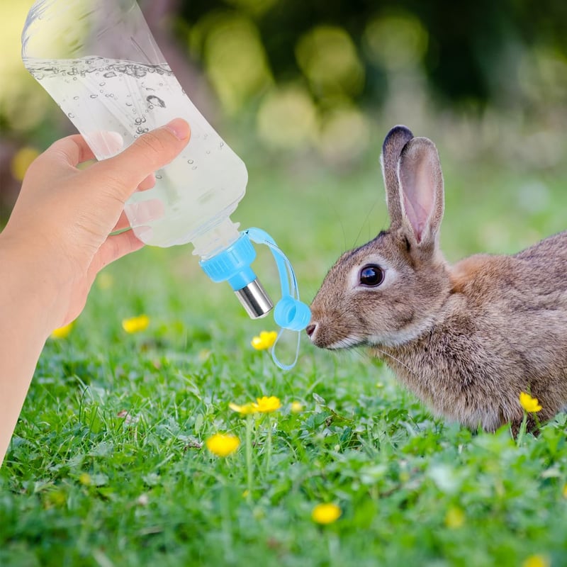 OATIPHO 500ml Utazó Ivópalack Kutyáknak Macskáknak Szivárgásmentes 2 db Kék és Rózsaszín