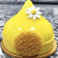 OCPO KITCHEN Silicone Molds for Baking Mousse Cake, French Dessert Mold for Pastry Chocolate, Cupcake, Ice Cream Mould, Cake Decoration Mold, 3D Water Drop Shape (6-Cavity) 6