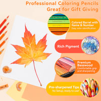 Set creioane colorate Ohuhu seria Halawa, 72 de piese, mină moale pe bază de ulei de 4 mm, creioane profesionale pentru artiști și adulți 3
