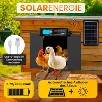 OKKÖBI Automata napelemes csirkeajtó Extra Large LCD kijelzővel, távirányítóval - fekete - 28,7x22,1 cm nyílás 3