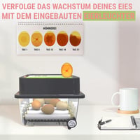 Okköbi OBI-12 Automata Tojáskeltető 12 Tojáshoz - Digitális Hőmérséklet és Páratartalom Szabályozás, Beépített Tojásforgatóval, Hőszigetelő  4
