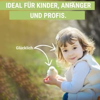 Okköbi OBI-12 Automata Tojáskeltető 12 Tojáshoz - Digitális Kijelző, Hőmérséklet és Páratartalom Szabályozás, Beépített Tojásforgató 6