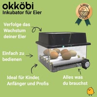 OKKÖBI OBI-12 Teljesen Automata Keltetőgép Csirkékhez és Kacsákhoz Hőmérséklet Szabályozással 2