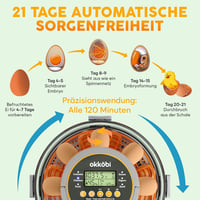 OKKÖBI Teljesen automata keltetőgép automatikus forgatással és páratartalom-szabályzással - 12 vagy 20 tojás 2