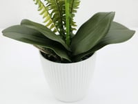 Olrla 41 cm fehér műorchidea kerámia vázával, Phalaenopsis dekoráció 4