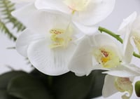 Olrla 41 cm fehér műorchidea kerámia vázával, Phalaenopsis dekoráció 3