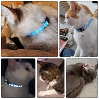 onebarleycorn Zgardă pentru pisici cu cataramă de siguranță și clopoțel, zgardă reflectorizantă reglabilă anti-sugrumare, pachet de 12 bucăți 5
