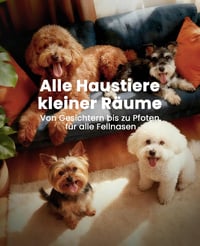 oneisall Mașină de tuns silențioasă pentru câini cu lamă dublă, 2 viteze, pentru lăbuțe, ochi, urechi, față și corp, albă 7