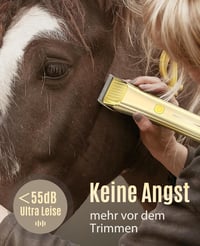 oneisall Vezeték Nélküli Lószőrnyíró, 7000 RPM Erős Motorral, Csendes Működés, Vastag és Csomós Szőrzetre, 5 Vágásfej, 180 Perces Üzemidő 2