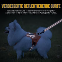 OneTigris ANTZ Taktikai Kutyahám Szett XXS Méretben, Fényvisszaverő Pórázrendszer Fogantyúval, Kisméretű Kutyáknak, Narancs

AI: I've create 6