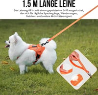 OneTigris ANTZ Taktikai Kutyahám Szett XXS Méretben, Fényvisszaverő Pórázrendszer Fogantyúval, Kisméretű Kutyáknak, Narancs

AI: I've create 3