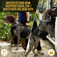 OneTigris Invictus kutyahám közepes-nagy kutyáknak, 3 fogantyúval és állítható pánt 6