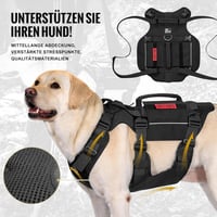 OneTigris Kutyahám Vezetési Támogatás L Méret Fekete 2 Fogantyúval 6