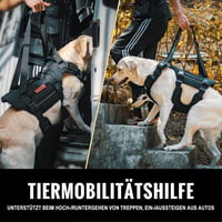 OneTigris Kutyahám Vezetési Támogatás L Méret Fekete 2 Fogantyúval 4