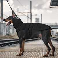 OneTigris STORMWALL vízálló kutyakabát reflexcsíkkal, XL méret 7