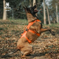 OneTigris T-Bone taktička orma za pse s 2 ručke, sigurnosna, podesiva orma za pse, za lov, planinarenje, trening - narančasta, veličina M 9