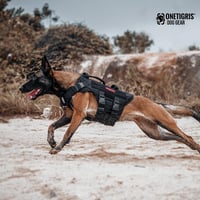 OneTigris X Destroyer taktikai kutyahám 3 fogantyúval, fém csatokkal, közepes-nagy kutyáknak - S:8-15kg(Hals:36-51cm, Brust:51-69cm), black 6
