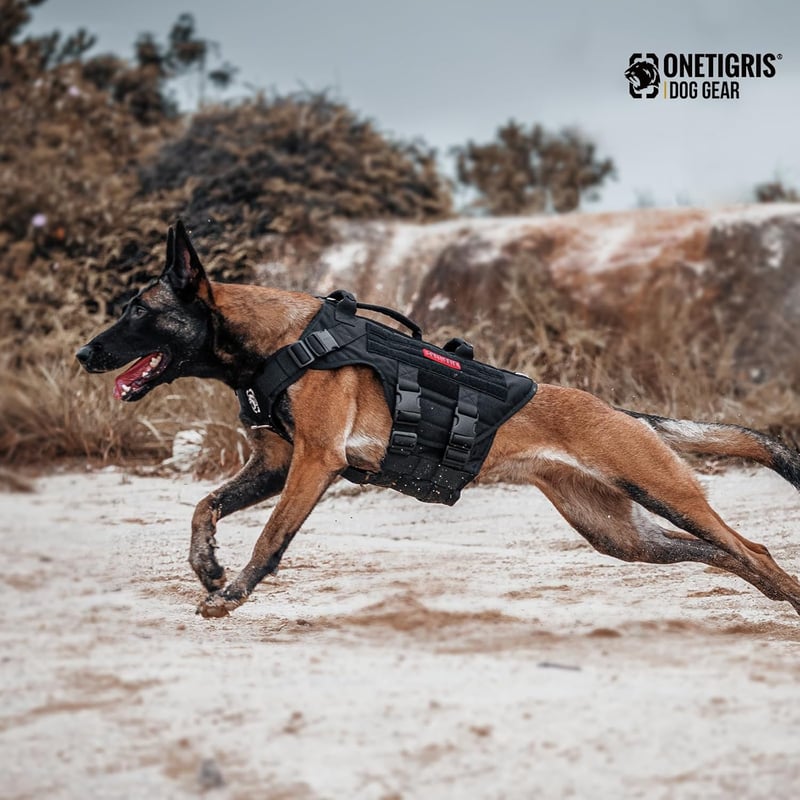 OneTigris X Destroyer taktikai kutyahám 3 fogantyúval, fém csatokkal, közepes-nagy kutyáknak - S:8-15kg(Hals:36-51cm, Brust:51-69cm), black